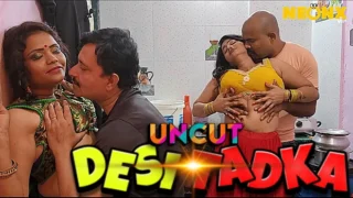 Desi Tadka – 2023 – UNCUT Hindi Sexy Film – Neonx