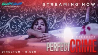 Perfect Crime – S01E01 – 2020 – Hindi Sexy Web Series – GupChup