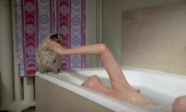 Jane Birkin nudes scene – Melancoly Baby (1979)